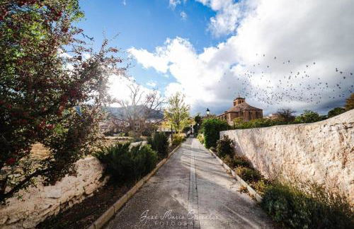 RaíZes 22 - Apartamento 6 - Foto 29