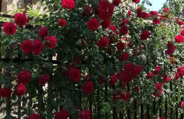 Casale San Martino Agriturismo Bio - Foto 66