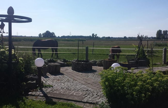 Ferienhof Fenzl - Foto 16