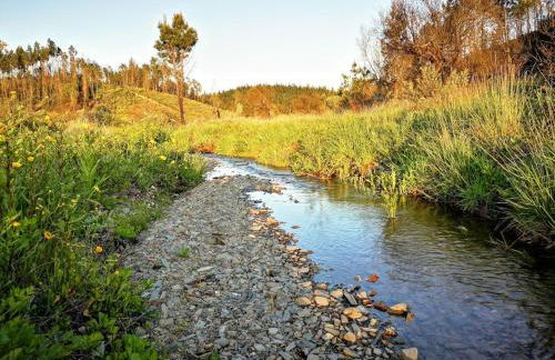 Aroma das Tílias - Foto 37