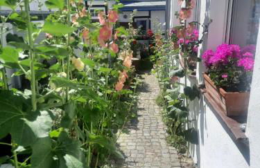 Haus Alexandrine - Foto 26