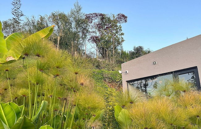 Gaia Experience - Foto 62