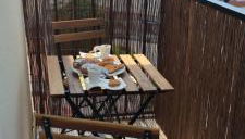 Piso soleado con buena ubicación - Foto 1