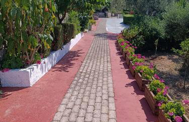 Tesoro of Ithaca - Foto 25