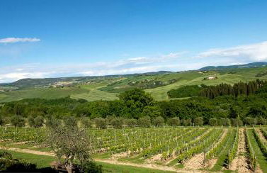 Agriturismo Mocine - Foto 8