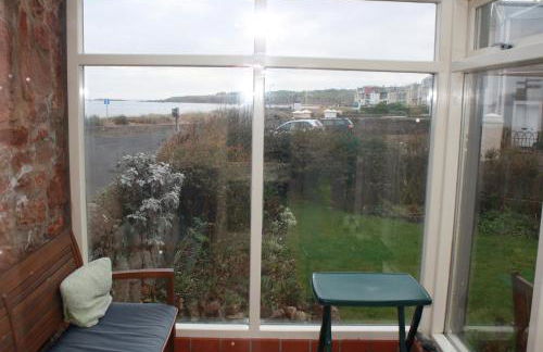 Guillemots - Foto 14