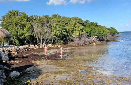 SEA MIST - Oceanfront-Lake-Kayak-Paddleboard-Bike - Foto 30