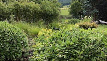 Ferienhaus Hoher Meißner - Foto 2