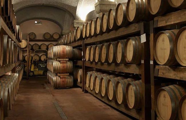 Argiolas Winery Trip - Foto 1