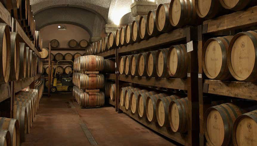 Visita a la bodega Argiolas