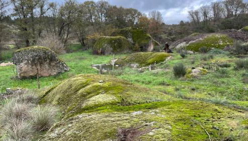 Casa dos Moinhos de Aveia - Foto 2