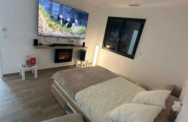 Villa piscine jacuzzi Montpellier - Foto 10