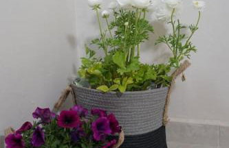 Giannata House - Foto 14