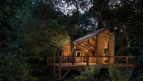 The Danish Cabin - Foto 1, Garden, Garden view