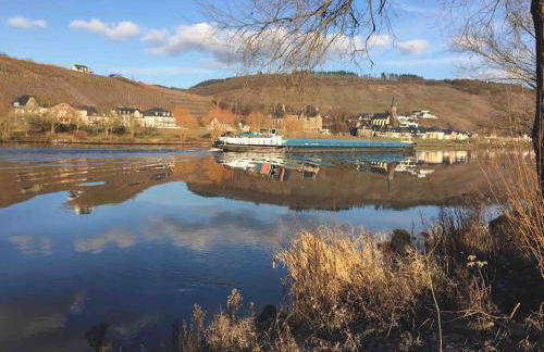 Wohnen direkt am Moselstrand - Foto 61