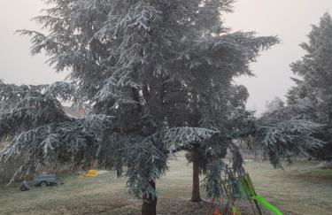 La Turlure - Foto 18