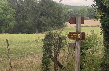 Domaine la Boulinière - La Biche - Foto 15