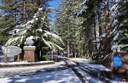 Lakeland Village #110 - Foto 31