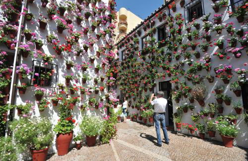 Villa ALJARAL, Espectacular,piscina,chimenea, climatización, wifi - Foto 70
