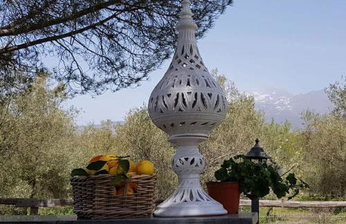 Villa Segreta, Mount Etna - Foto 31