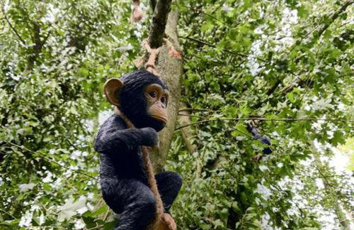 Beautiful 1-bed Cabin in Newmarket - Foto 35