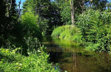 Ferienwohnung Naturpur - Foto 19
