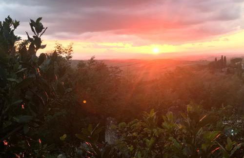Il Borghetto Studio apartment in Crete Senesi - Foto 7