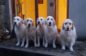 Hilltop Lodge - Foto 13