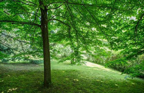 Residenze Bellaria Park "Riverside" - Foto 19