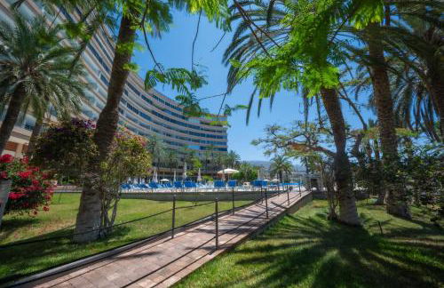 Seagulls melody C-209 - Foto 26