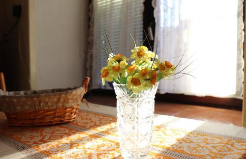 Holiday Home Franciska - Foto 32