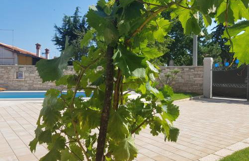 Villa Maria Tereza - Foto 54