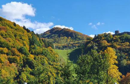 Lawendowy Domek - Foto 13