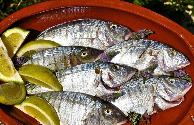 Lovely Apartment in Ripatransone - Photo 10