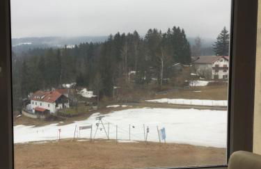 Dreisessel Dreiländereck Pool Sauna - Foto 34