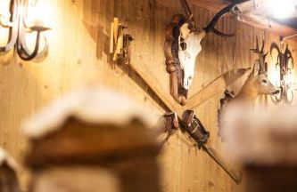 Alfio's Alpen Suite - Photo 9