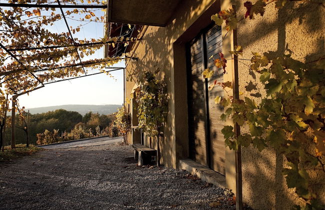 Vineyard Cottage Brodaric - Foto 18