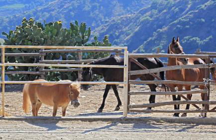 Agriturismo San Cataldo Farm Home - Foto 124