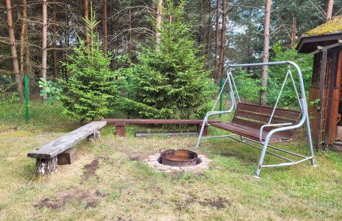 W Krainie Żubra - Foto 13