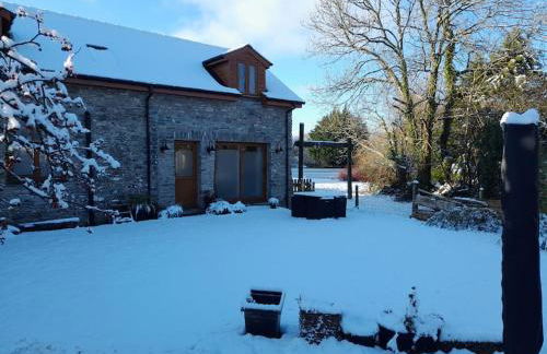 Rhedyn - Cosy Fishing Lodge Near Aberaeron - Photo 36