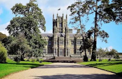 The Forager's Rest - Foto 52