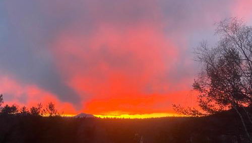 Artful Lodging & Retreats - Photo 5, Garden, Garden view