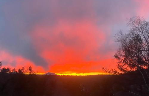 Artful Lodging & Retreats - Photo 5