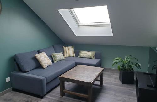 Audun-Le-Tiche - Appartements 3 chambres - Foto 5