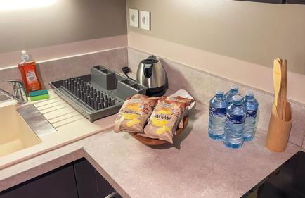 Charmant Duplex Quartier Perrache Confluence - Foto 3