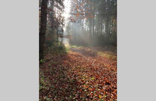 Ferienwohnung Schmidt - Foto 39