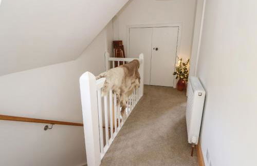 The Cottage In The Woods - Foto 20