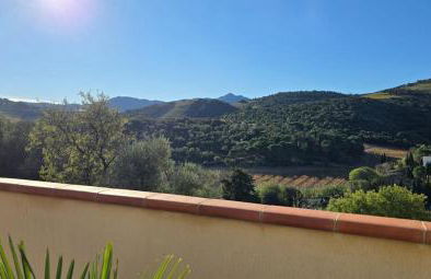 Piscine chauffée privative au Nid de Paulilles - Foto 14