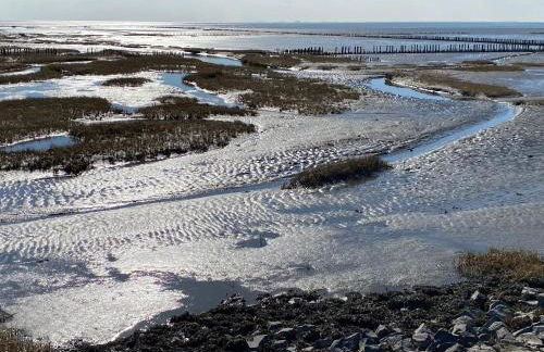 Ferienhaus Nordseejuwel - Foto 27