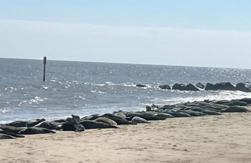 Betty's Cottage - Traditional Norfolk Farm Cottage - Foto 29